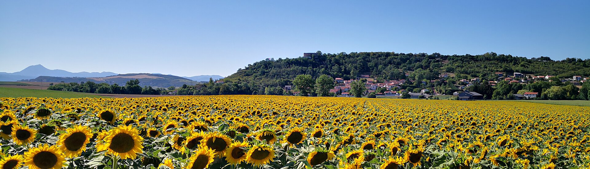 Commune Mairie Saint-Bonnet-lès-Allier Château Puy-de-Dôme Auvergne