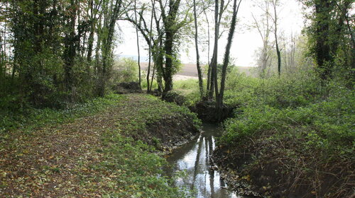 Le Ruisseau des Assas