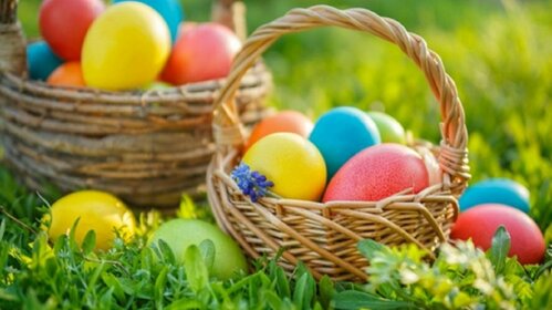 Chasse aux oeufs 